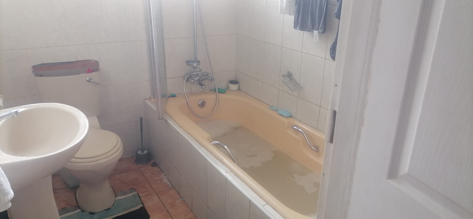 375246274.jpg