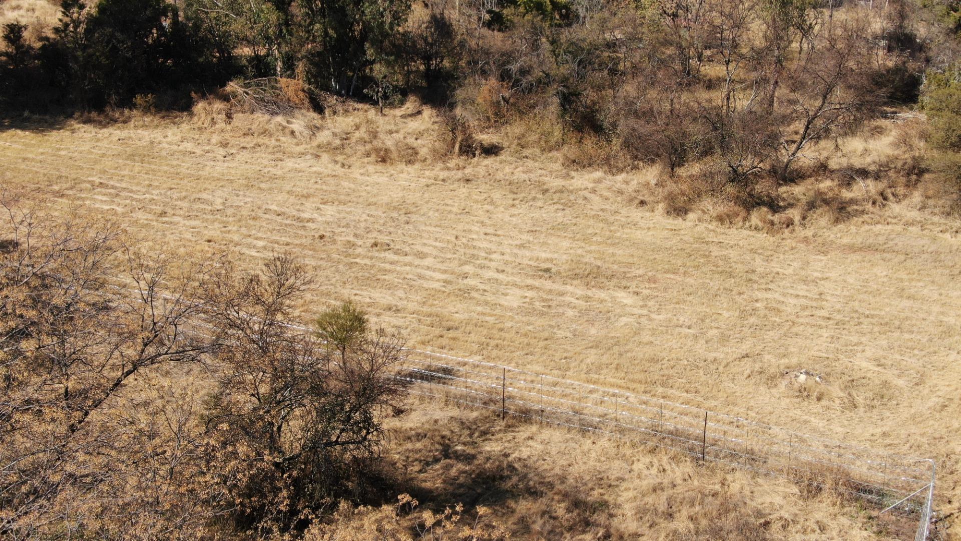 752841_DJI_0939.JPG