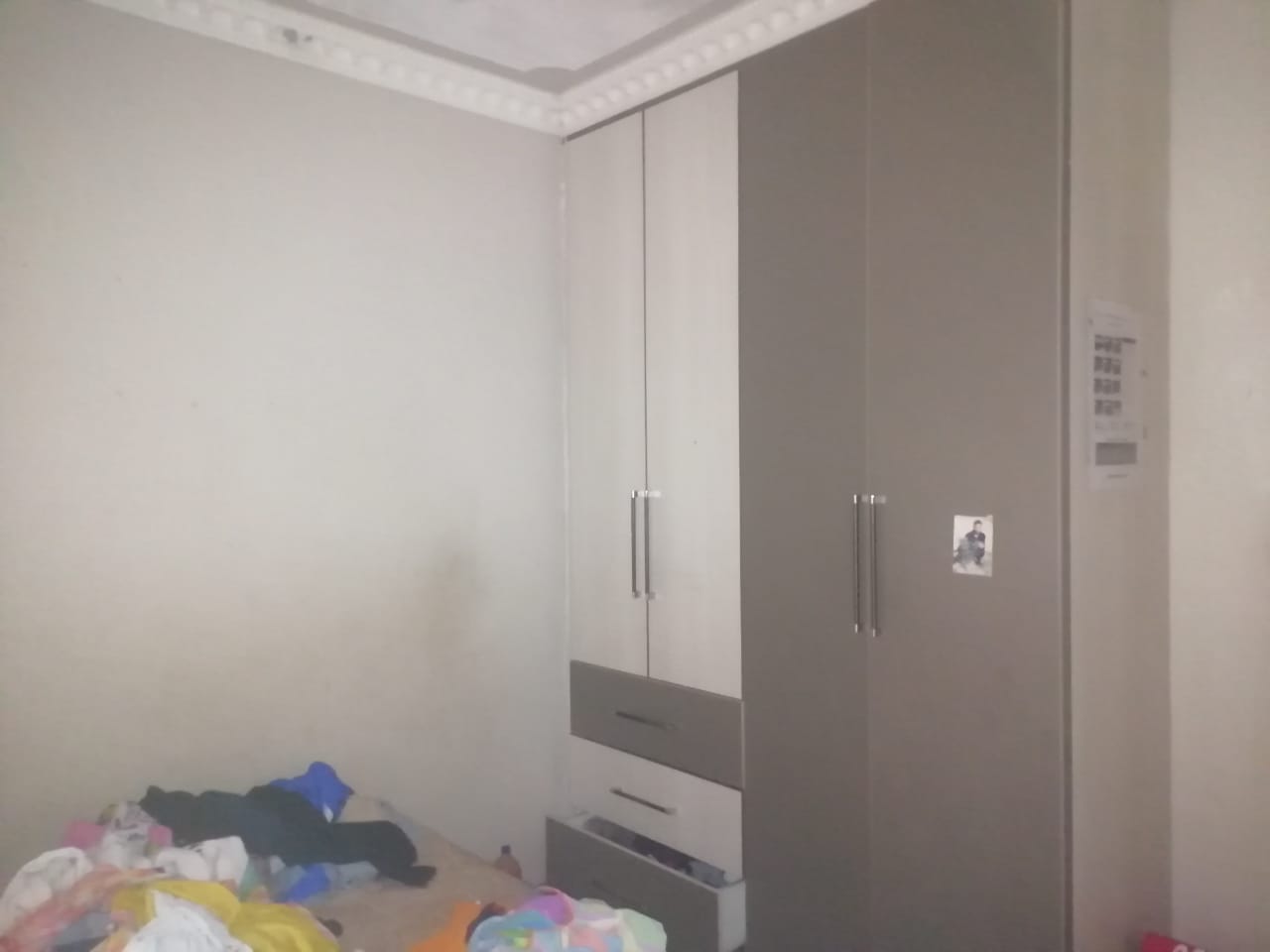 355320017.jpg