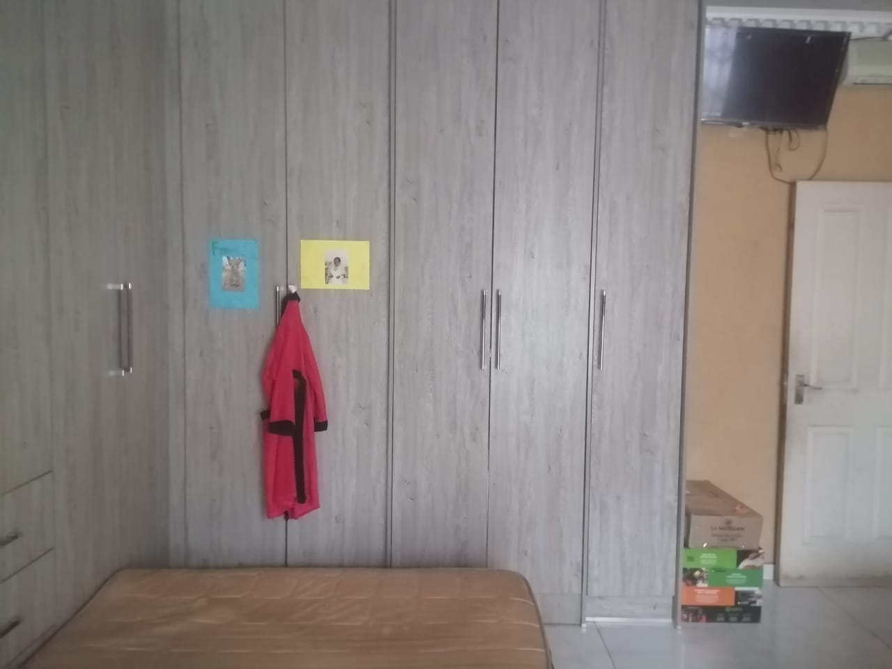 355320020.jpg