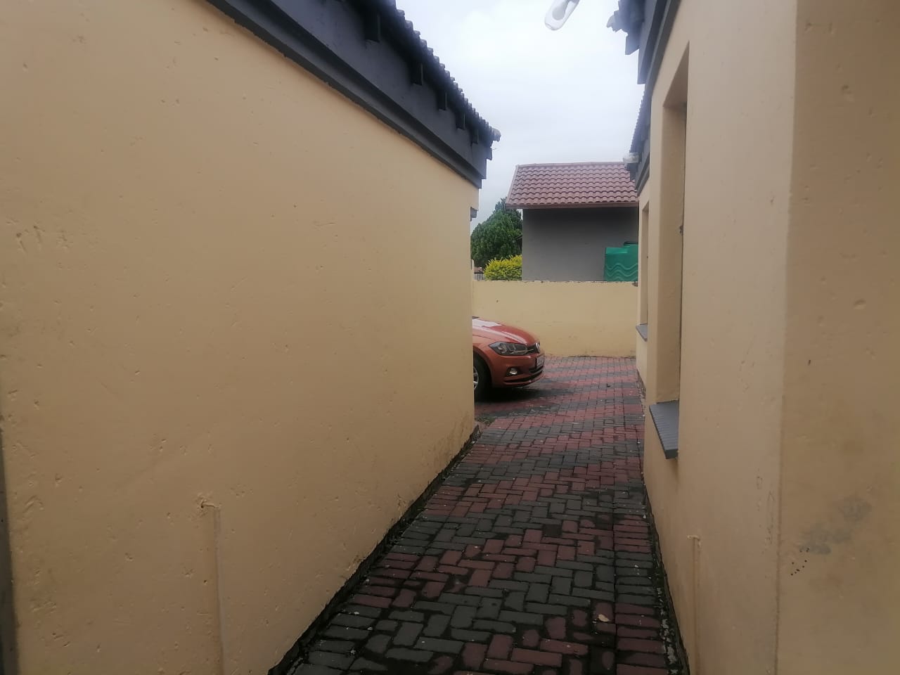 372033351.jpg