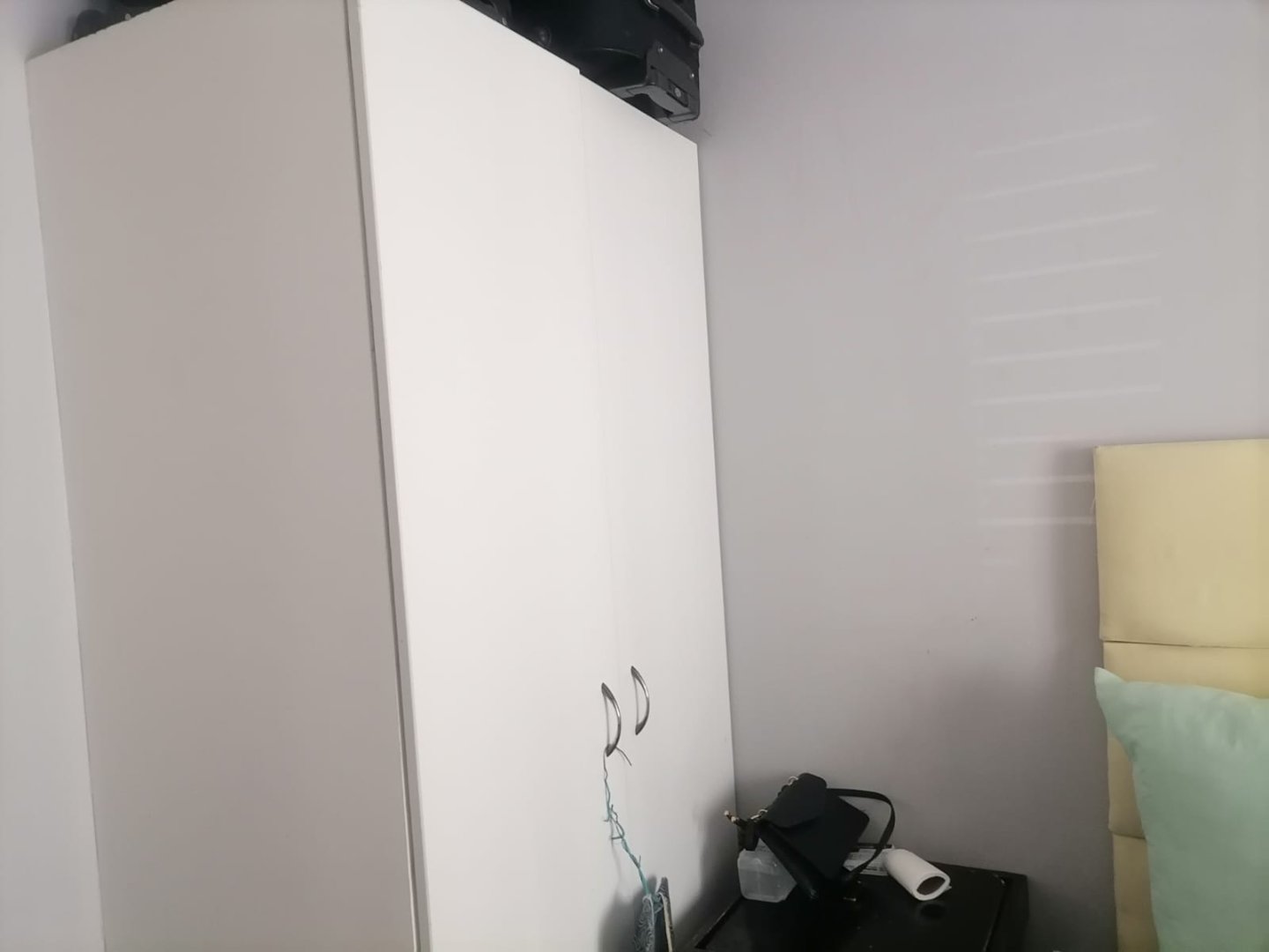 372568602.jpg