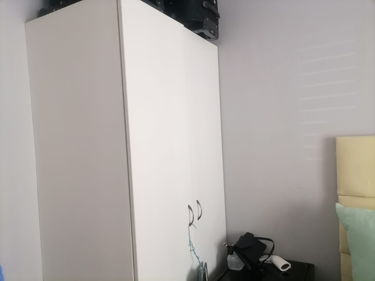 372568603.jpg