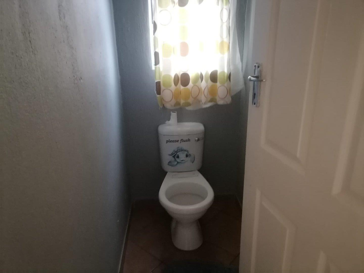 373293041.jpg