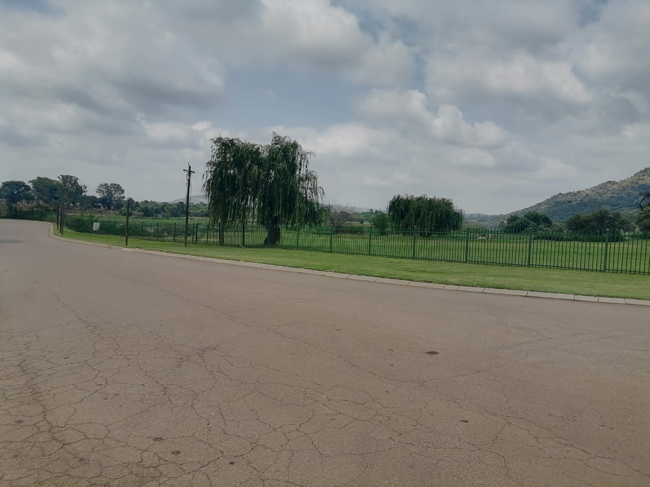 374872057.jpg