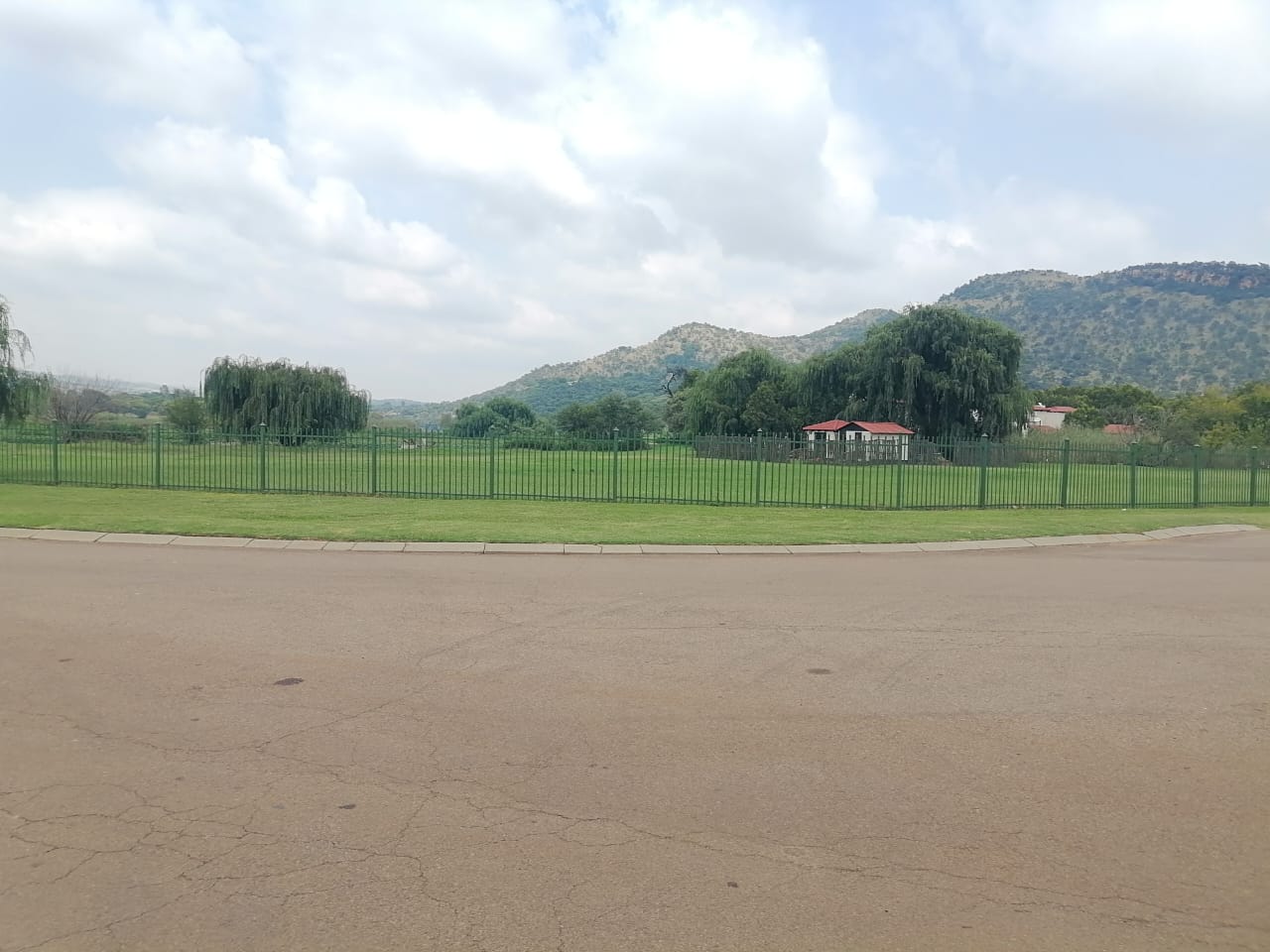 374872058.jpg