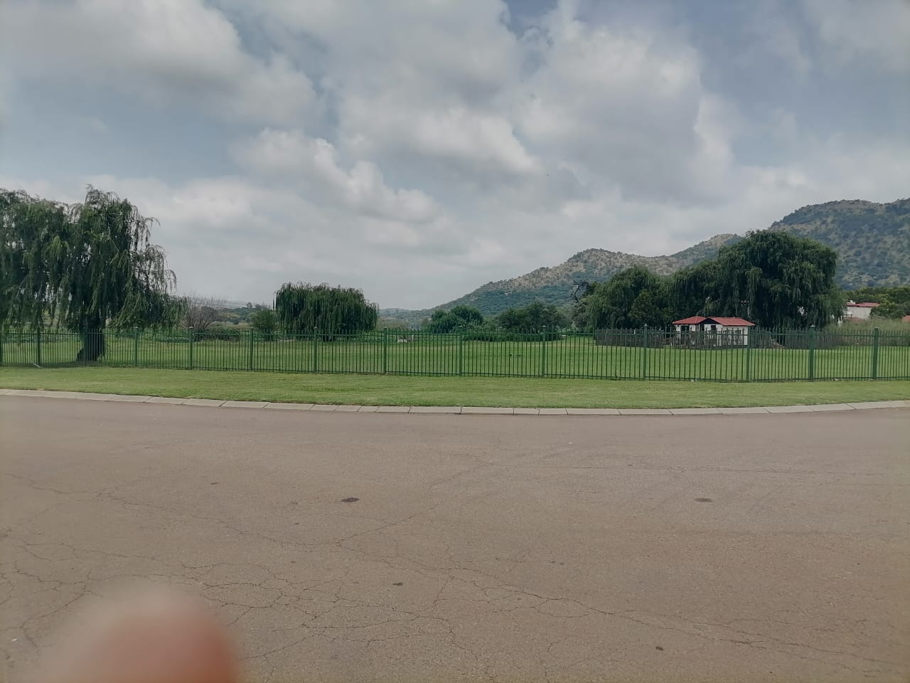 374872059.jpg