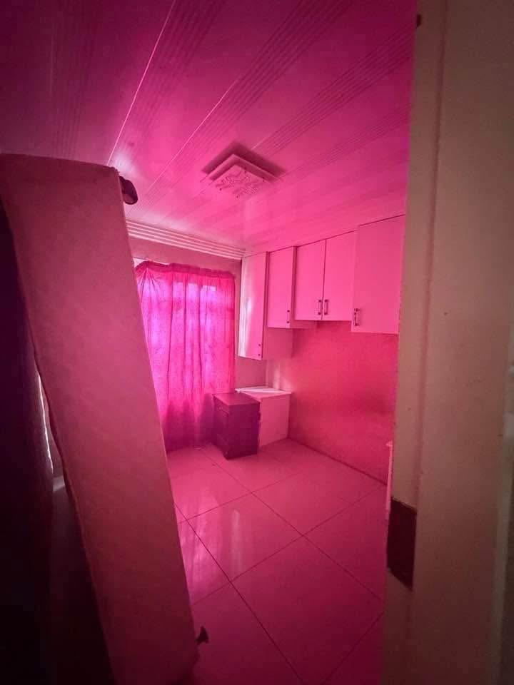 378935355.jpg