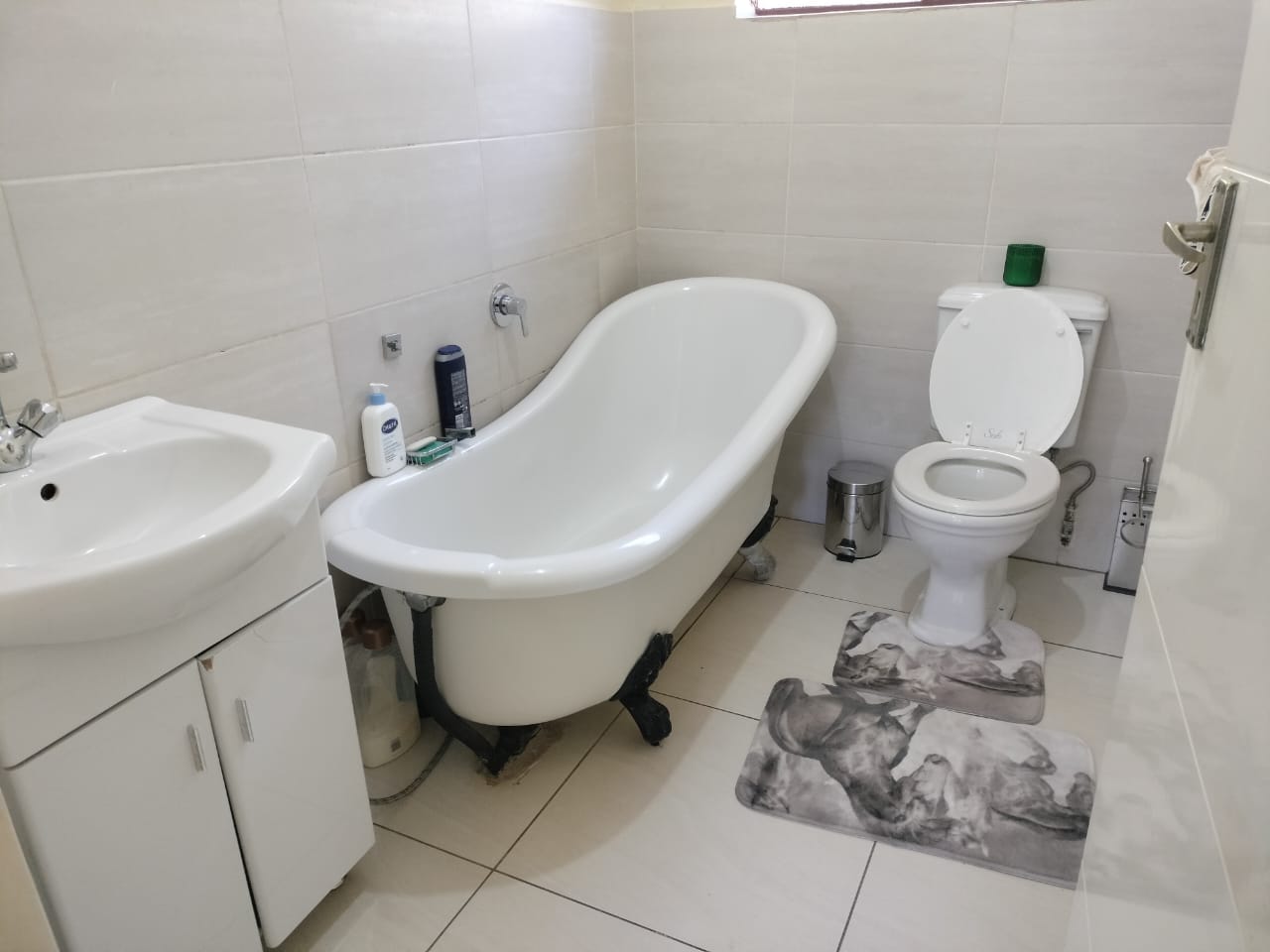 380767977.jpg