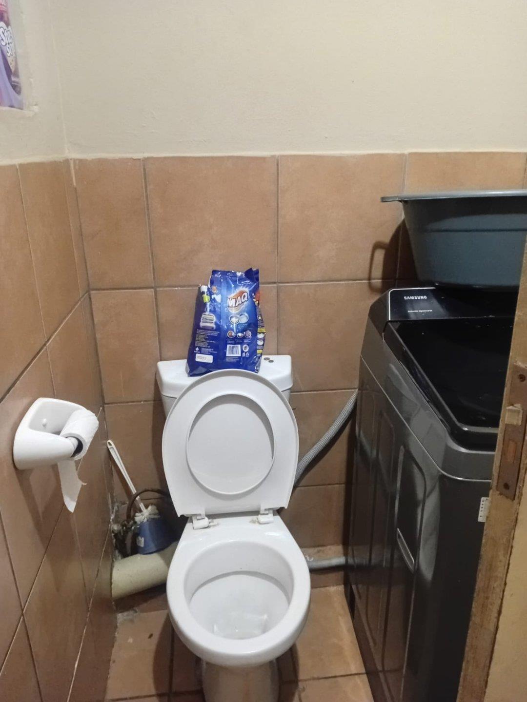 382547155.jpg