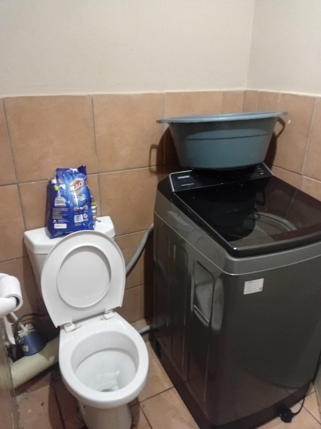 382547156.jpg