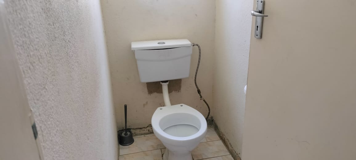 383525866.jpg